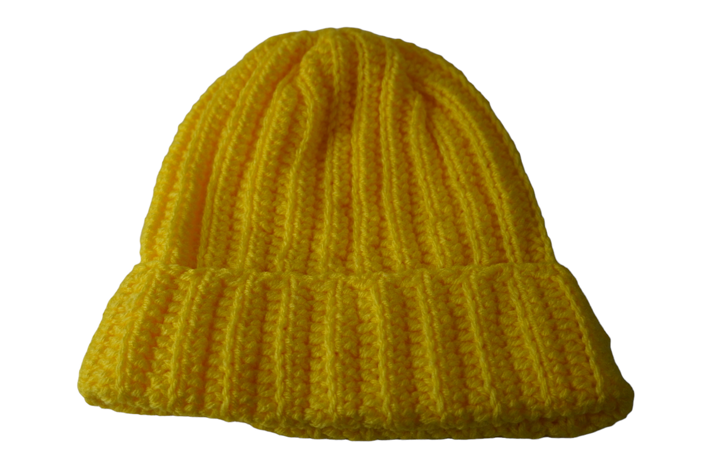 Beanie- Thick Textured Brim